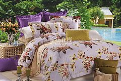 ��Ϧ����