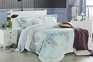 ���m�_(d��)