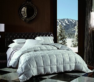 ���u���������q��