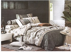 ����ӡ��