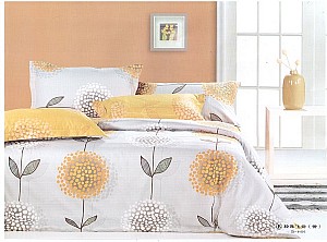 �p���w�P(y��ng)���S��