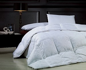 ���F���Z�q��