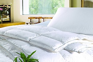 ��q���{(di��o)��