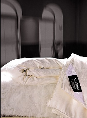 ��z�Q�z��