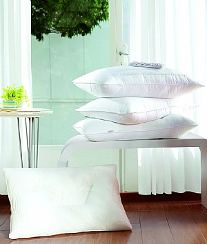 ���������w���ػ�����ľ�����F�����������ΛQ��������