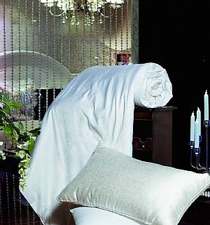 һ��������F�Q�z��