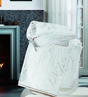 �����w�S