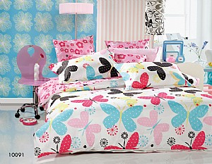 ȹ���w�P--10091