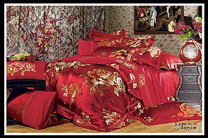 ��ɫ����