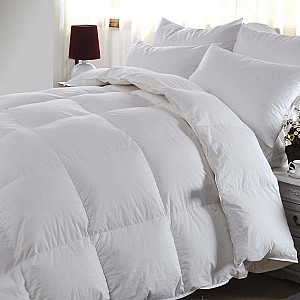 ��Ȼ��q��