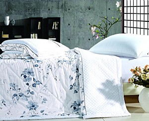 �����ı�