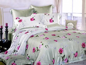 �p���w�P(y��ng)