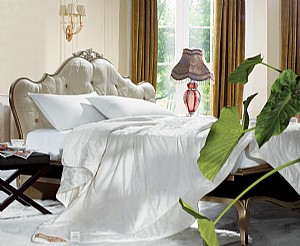 ��(y��u)���Q�z���ﱻ