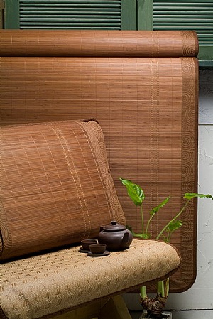 3.0̼����zϯ