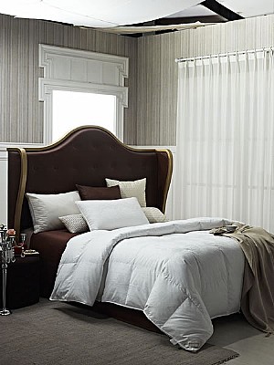 �w����DƬ-4