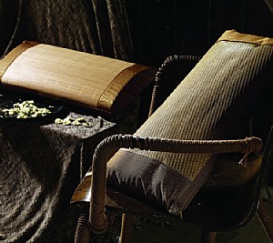 2010��������о-�¿�Ұ�ջ��w����-��D2����