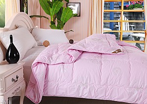 ���޼���ë�����_̩�򣩣�3��