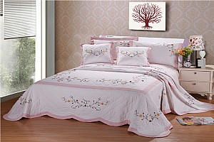 CS-003õ��֮�s���w������